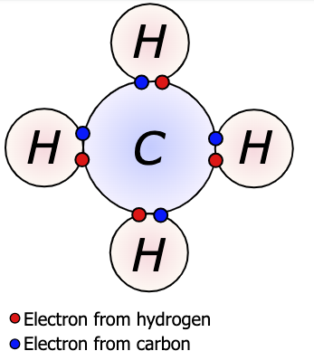 Science by a Scientist: On Molecules